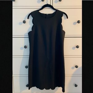 Scalloped J. Crew Dress